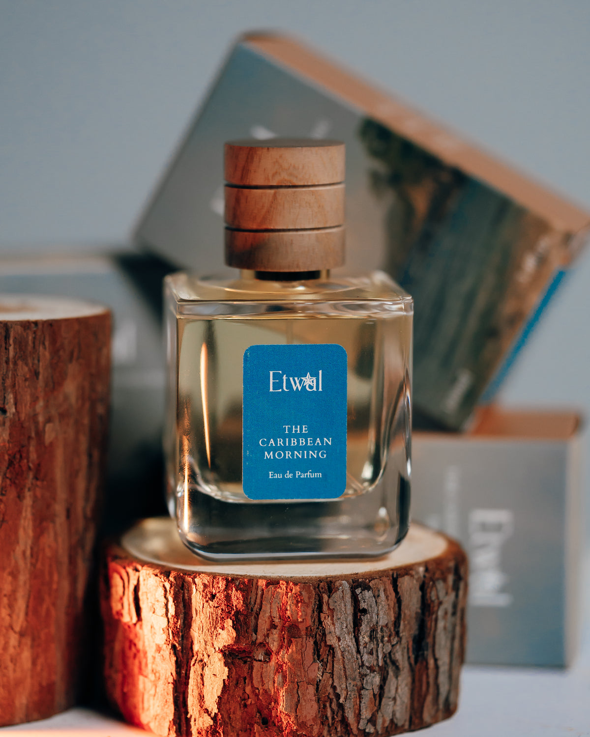 The Caribbean Morning perfume bottle among moss with its box behind it