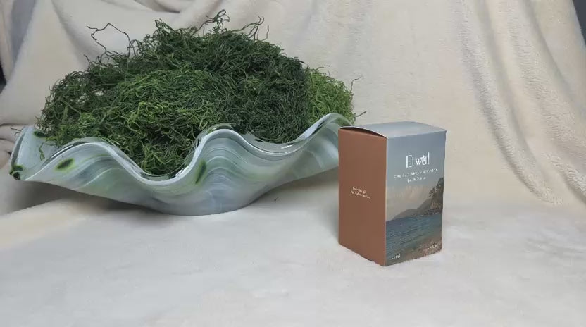 Load video: Experience the Etwal Collection